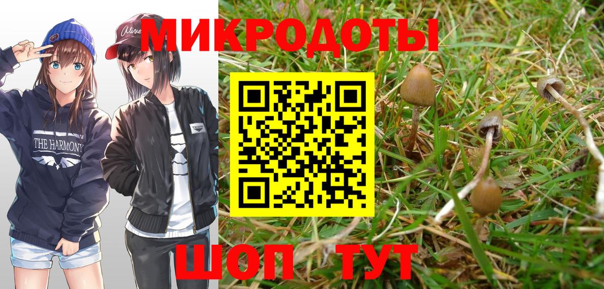 Галлюциногенные грибы MAGIC MUSHROOMS Реутов