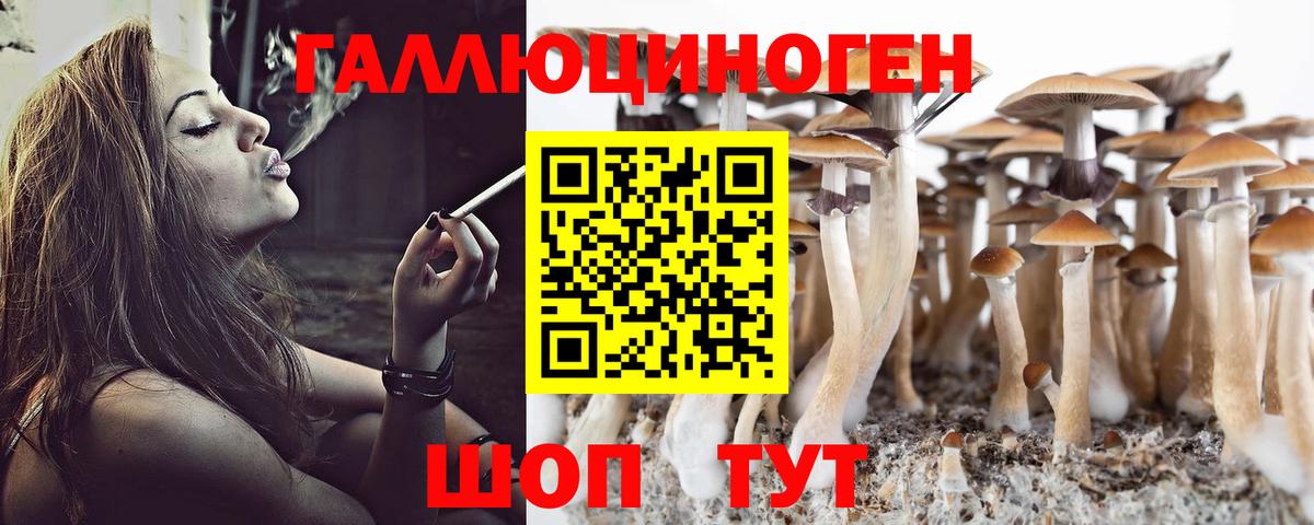 Псилоцибиновые грибы Magic Shrooms Реутов